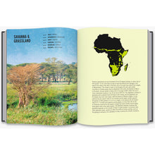Load image into Gallery viewer, David Adjaye: Adjaye Africa Architecture